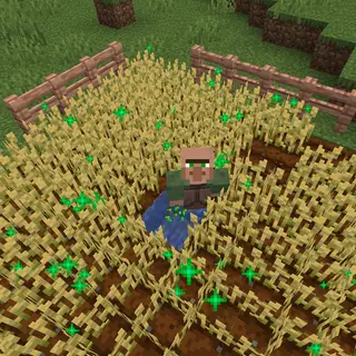 farmer's attributes
