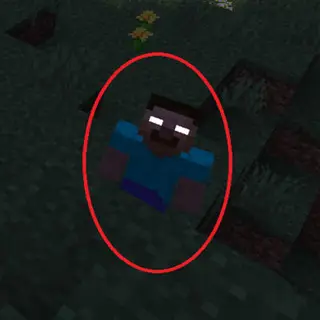 Herobrine World