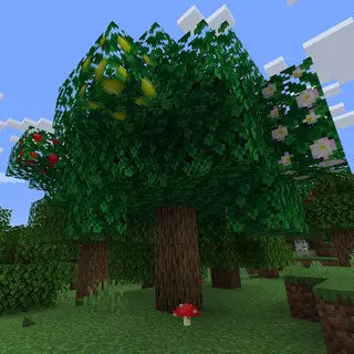Another Apple Tree