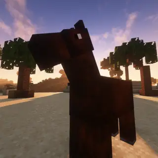 Call of the Steed