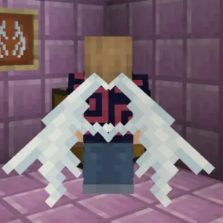 Vex Elytra