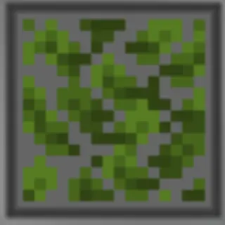 Wavy Leaves
