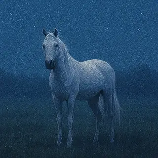 Blue Moon Equine