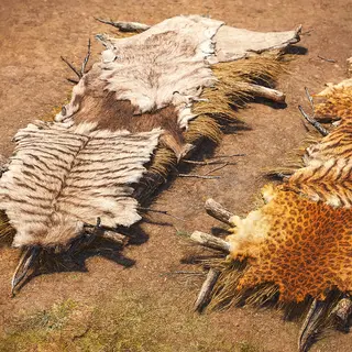 primal beds