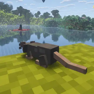 Become Rat