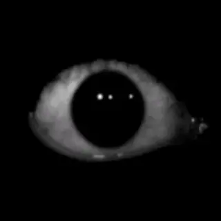 always_watches.jar