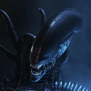 Enderman Xenomorph Sounds