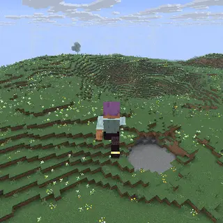 Hello Biome