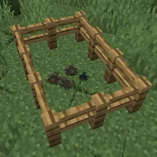 Small Spiders