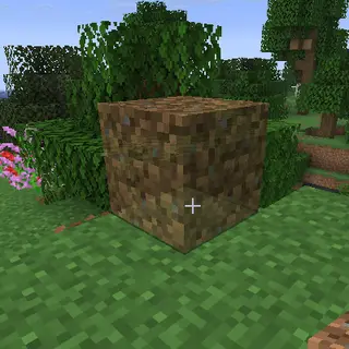 Preview Placement