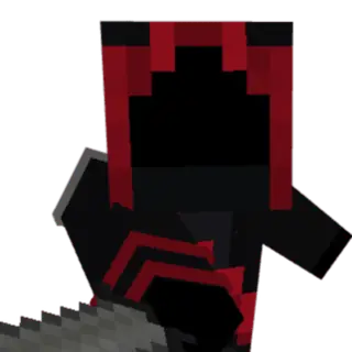 The Assassins