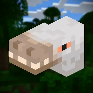 Wolf 2 Raptor