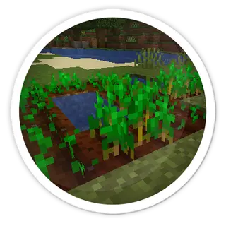 Raw's Crop Growth Balance