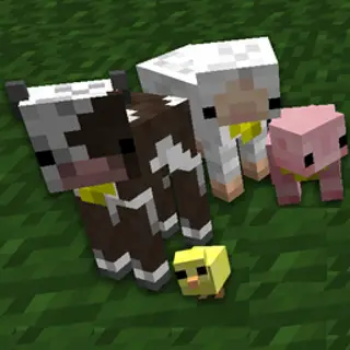 Baby Animals