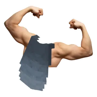Roxxy's Unbreakable Elytra
