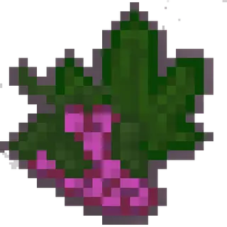 psycedelicraft