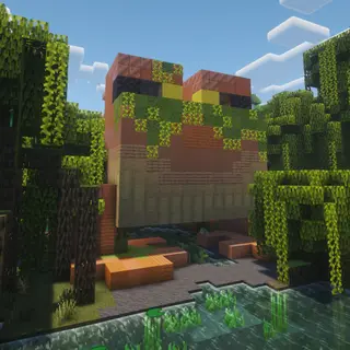 Villager Frog House
