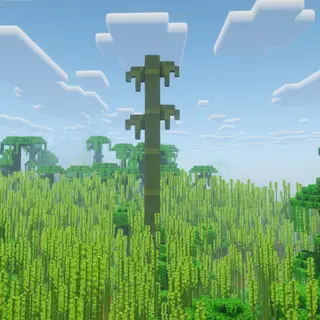 Giant Bamboo