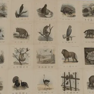 Vintage Animal Paintings Pack
