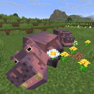Animal Garden - Hippopotamus