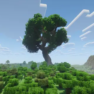 Giant Oak Tree