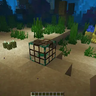 Fish Traps Remastered