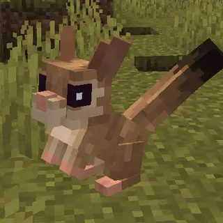 Animal Garden - Springhare