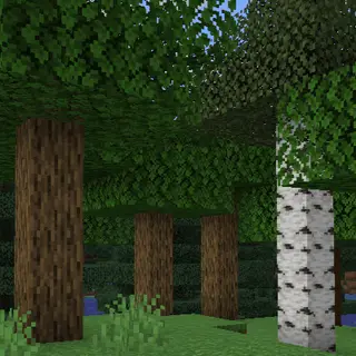 Taller Trees