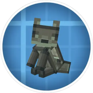 Create: Copyfoxes