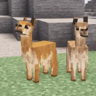 Animal Garden - Vicuna