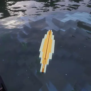 Surf Boards