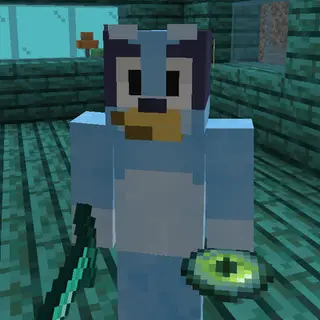 Bluey biomes!!!
