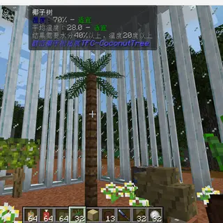 TFCCoconutTree