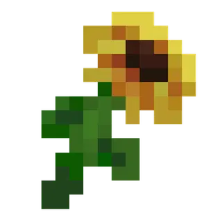 Wow Sunflowers!