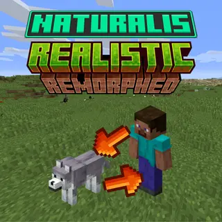 Naturalis - Realistic Remorphed