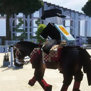 Swem Sever 2.0