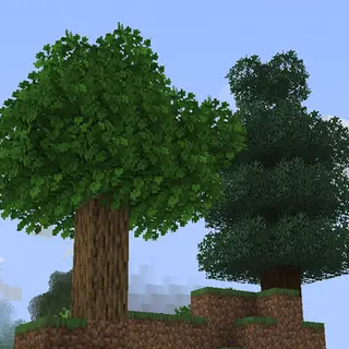 Standard Bushy Leaves