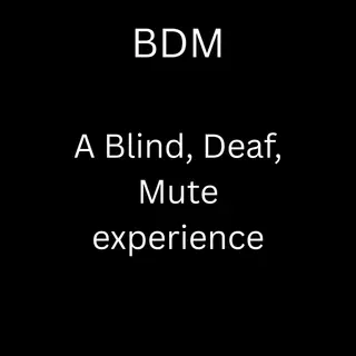 BDM ( A Blind, Deaf, Mute, experience.)