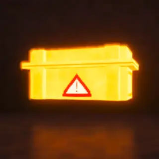 Custom Cases