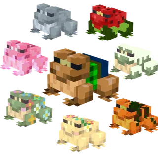Maple's Frog Collection