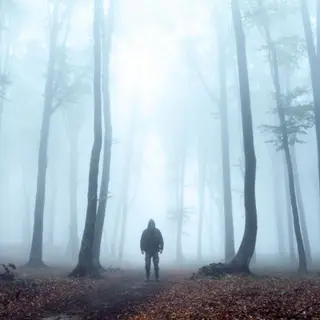 Appalachian Survival