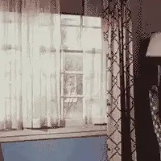 Fly Through Glass