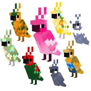 Maple's Parrot Collection