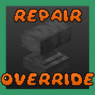 Repair Override