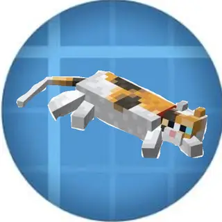 Create for twinks. Create addon