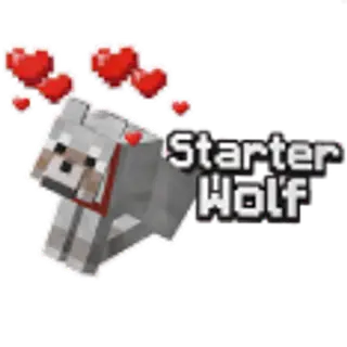 Starter Wolf