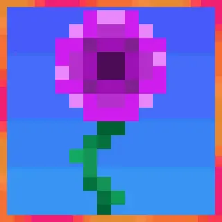 Diversity of  Flowers