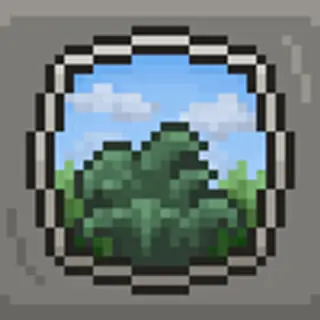 Fern Config