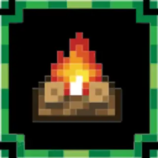WildCamps