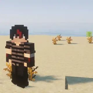 CyberServerPack
